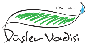 Riva DV logosu